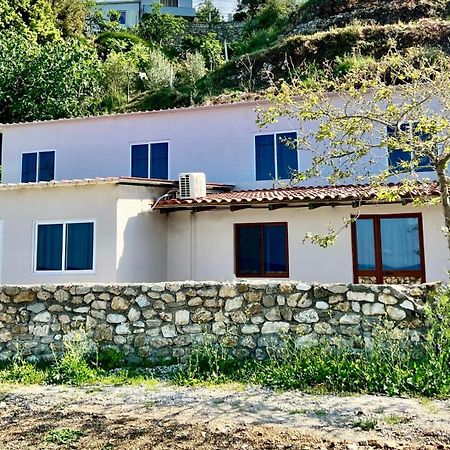Villa Kate Borsh Luaran gambar
