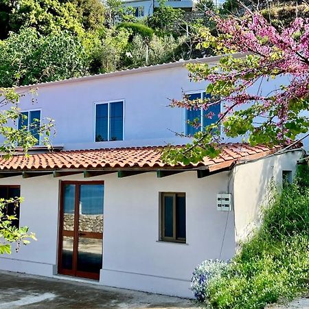 Villa Kate Borsh Luaran gambar