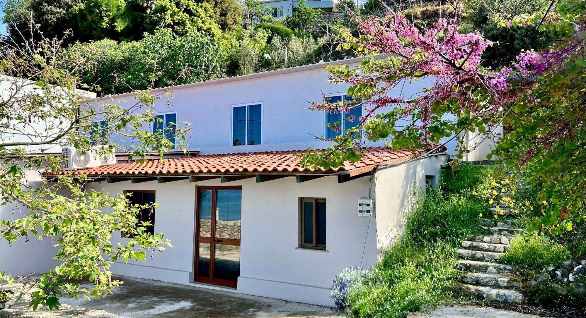 Villa Kate Borsh Luaran gambar